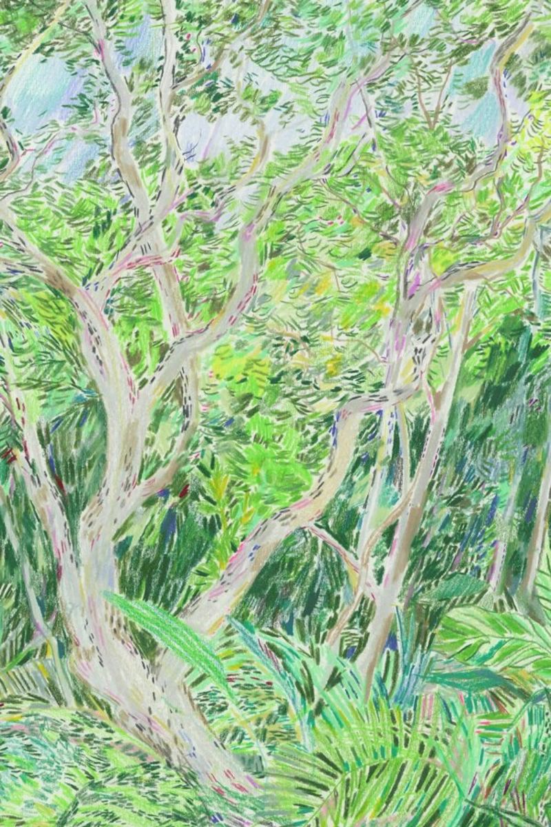 Middle Section Of Hawaii poster by Sonia Brittain