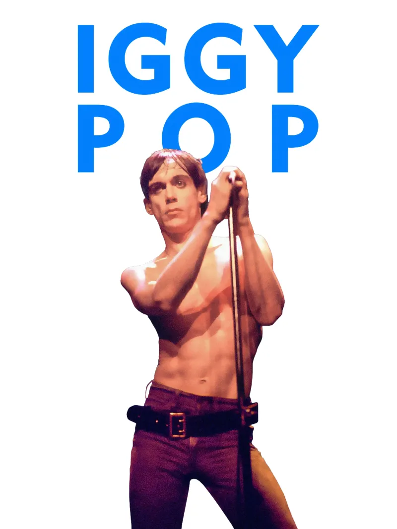 Iggy Pop plexiglass da Theidolastore