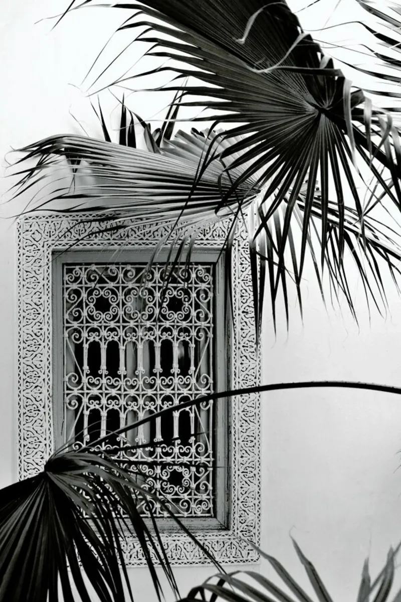 Orient Palms & Garden Dreams Black & White Edition pellicola backlit da Studio Nahili
