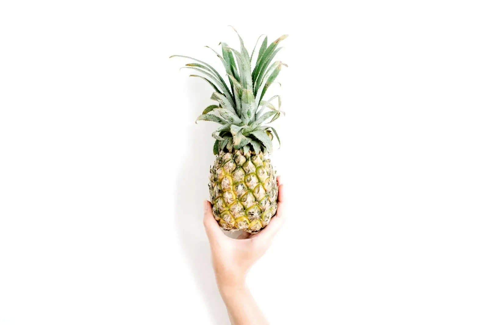 Minimalismo tropicale poster con telaio in alluminio da PhotoVibe Decor