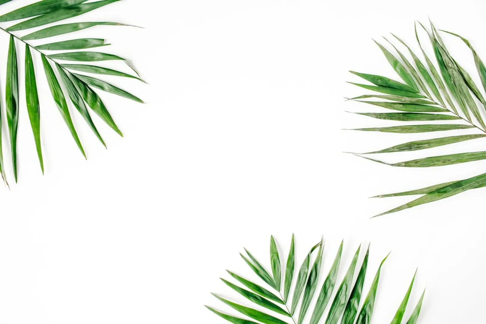 Minimalismo tropicale poster con telaio in plastica da PhotoVibe Decor