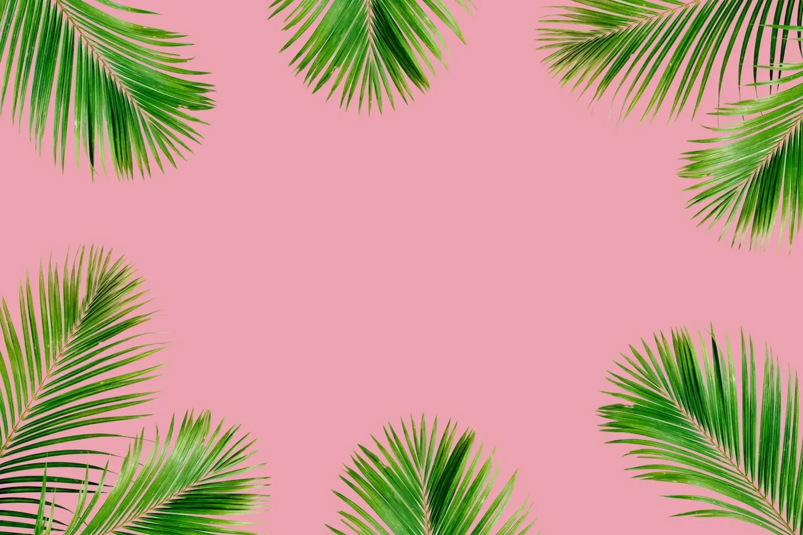 Minimalismo tropicale poster con telaio in plastica da PhotoVibe Decor