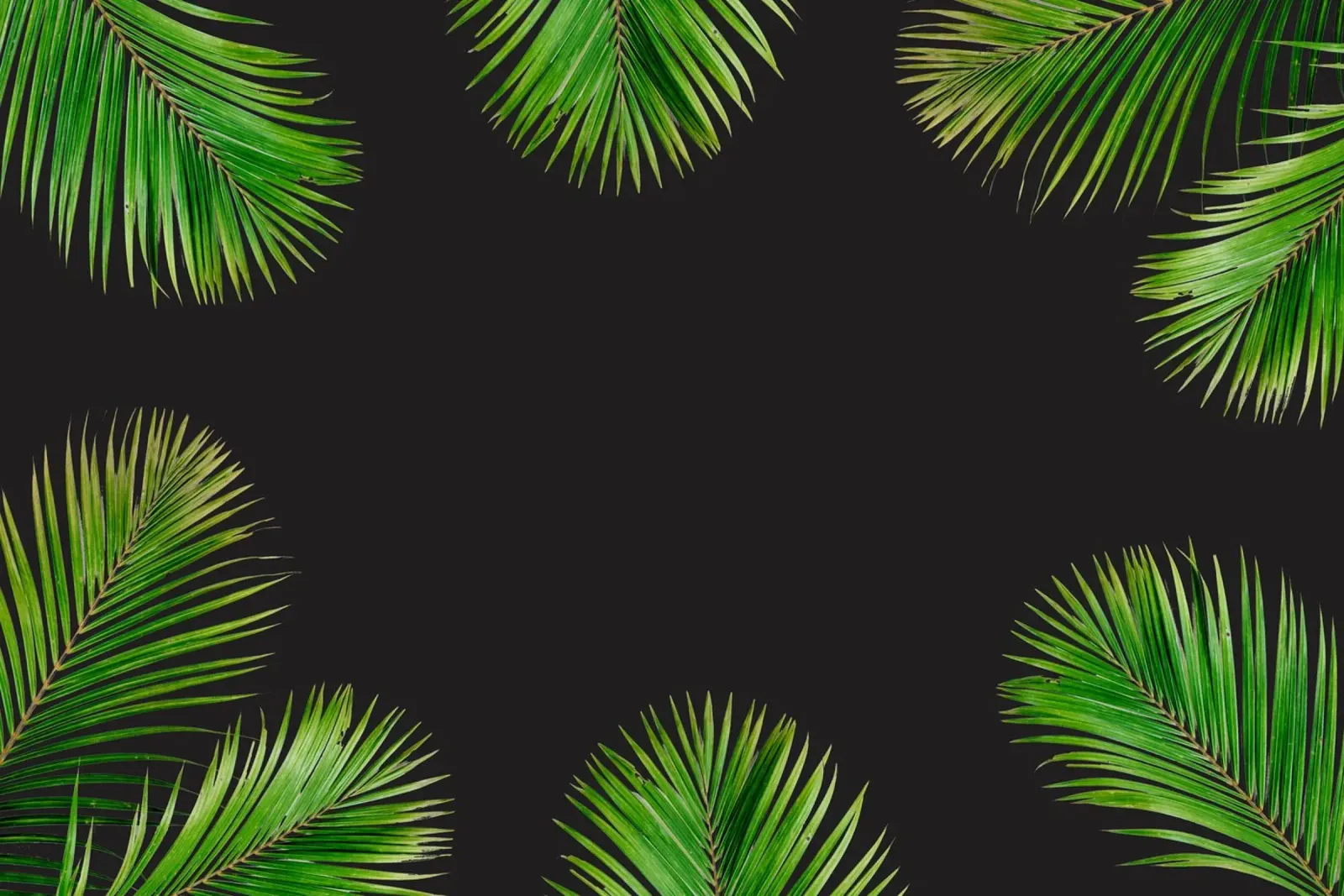 Minimalismo tropicale poster con telaio in plastica da PhotoVibe Decor