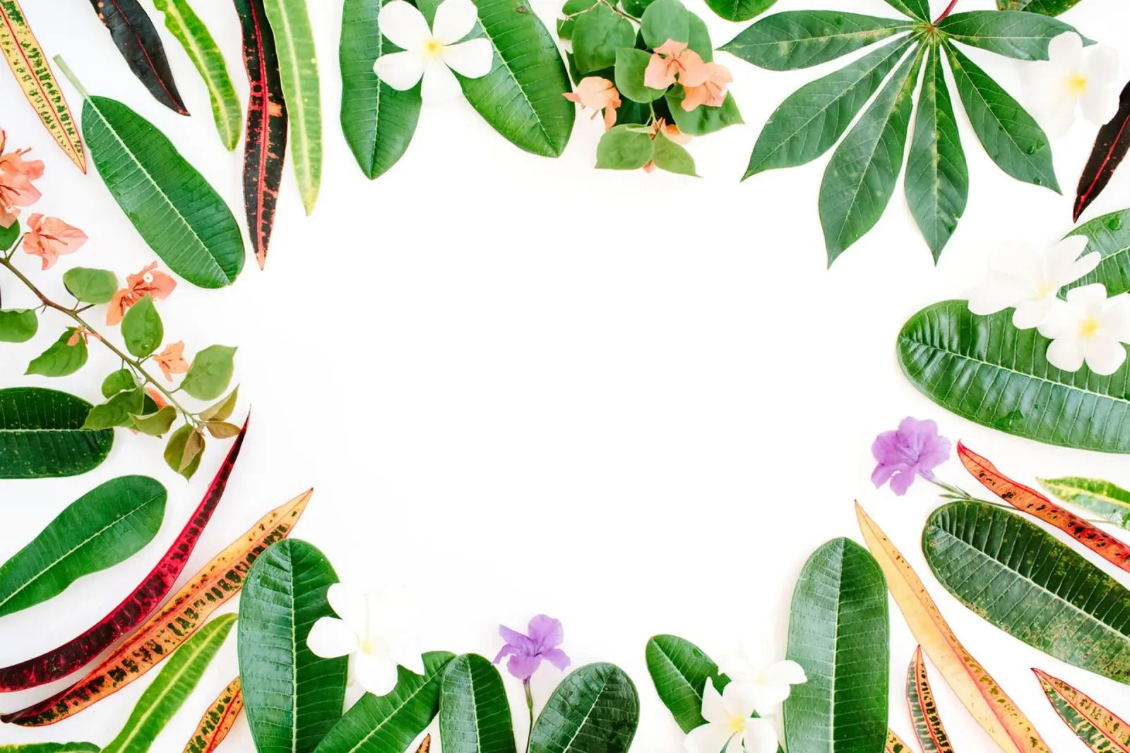 Minimalismo tropicale poster da PhotoVibe Decor