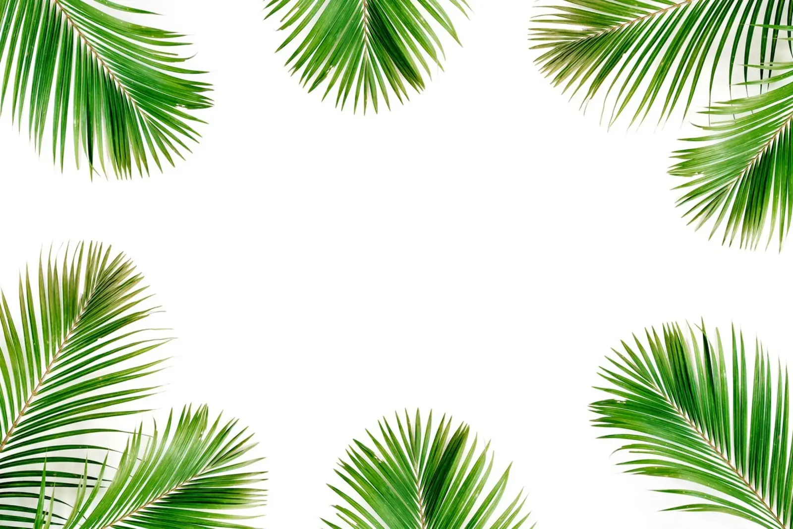 Minimalismo tropicale poster da PhotoVibe Decor