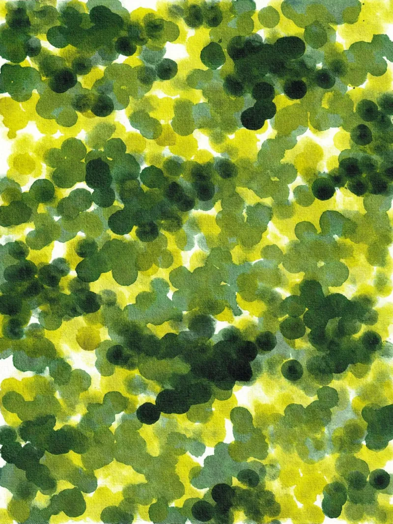 Abstract GREEN Pattern 1 carta hahnemühle da manu schimmelmann