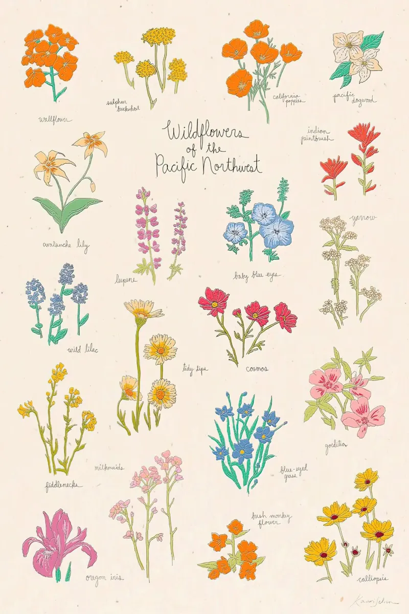 Fiori selvatici del Pacifico nordoccidentale carta hahnemühle da harris shop