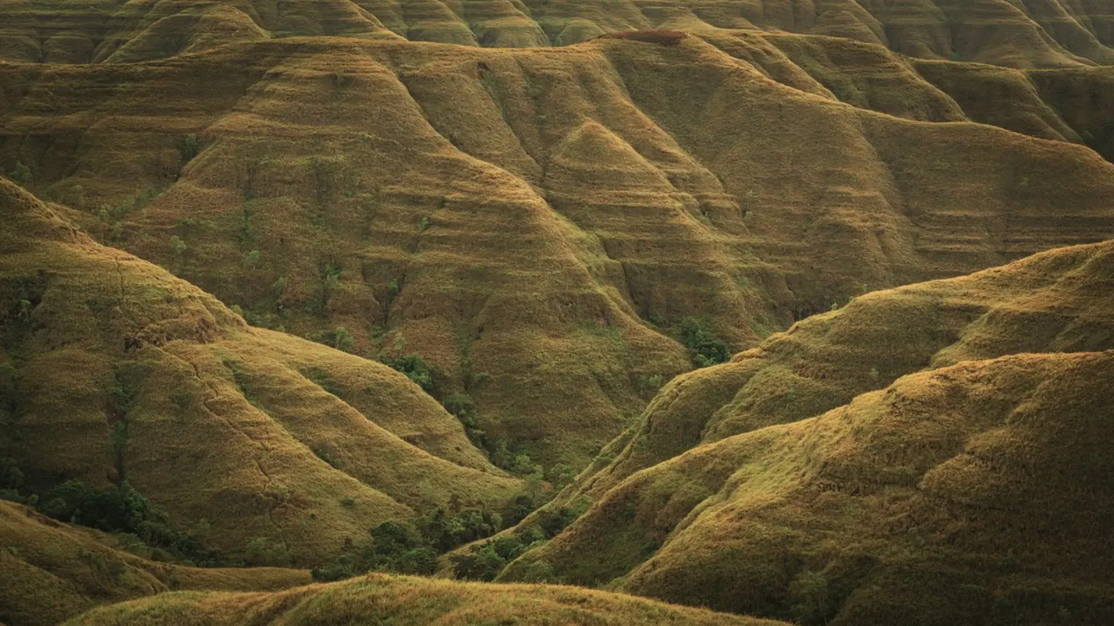 colline ondulate plexiglass da Earthly Visions