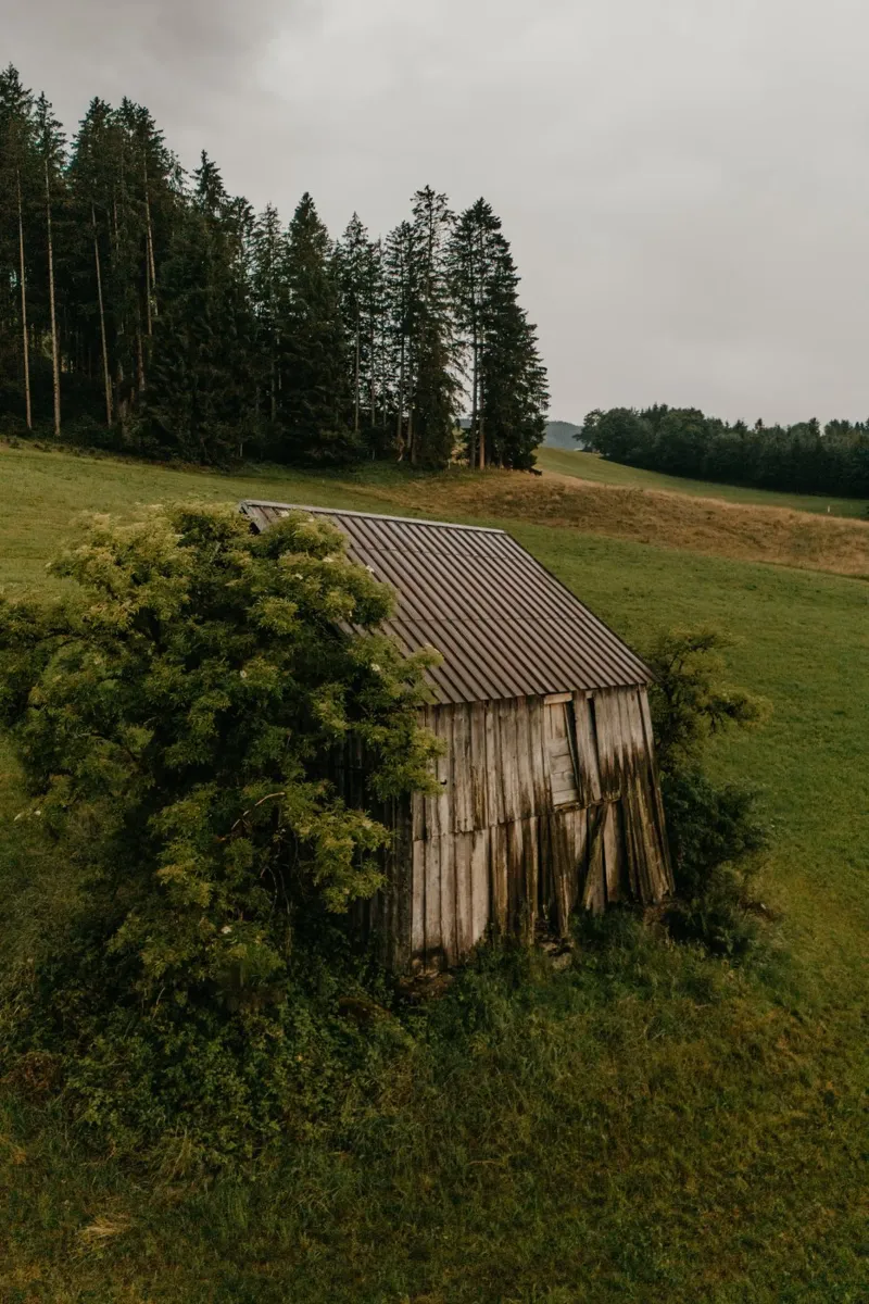 Quiet Dwelling alluminio dibond da Lena Stamm