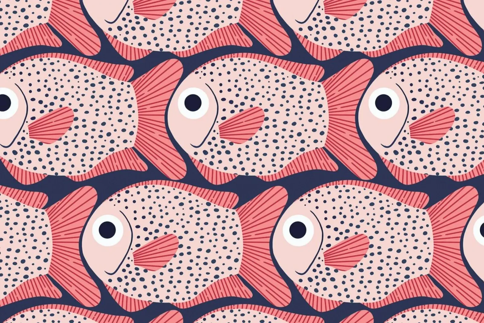 Pink Fish Pattern pellicola backlit da Laura Graves