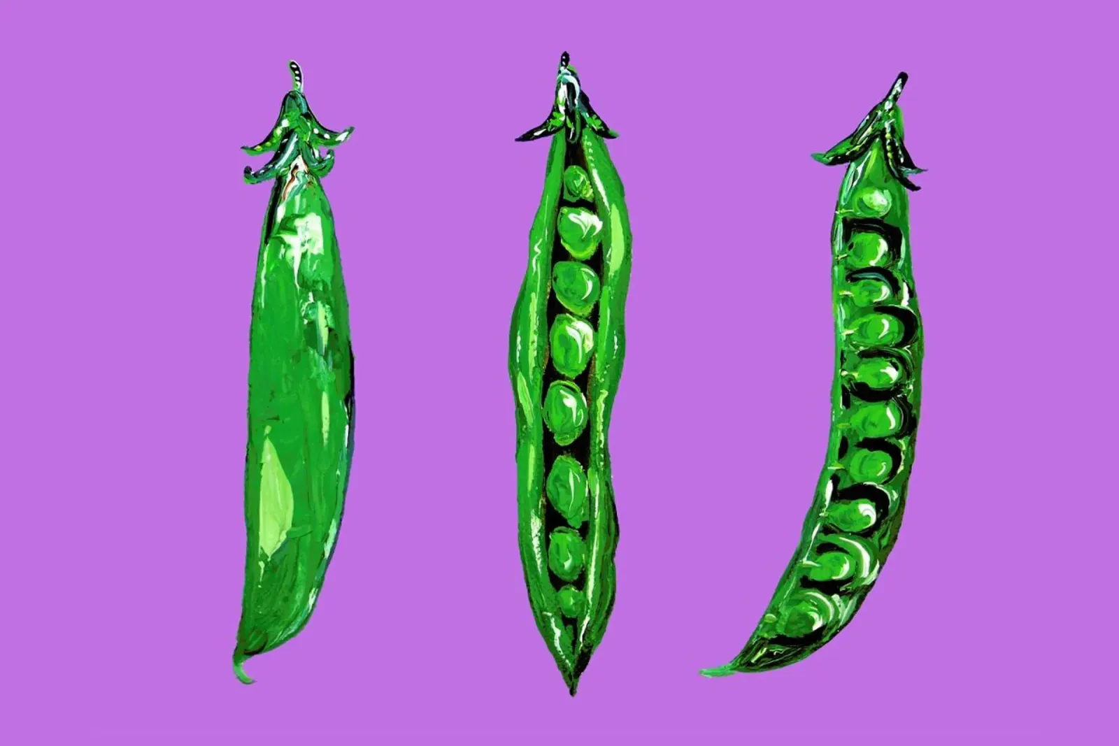 Peas In A Pod pellicola backlit da Alice Straker