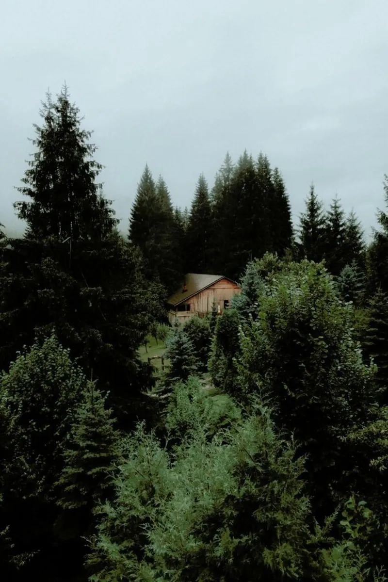 Cabin In The Woods pellicola backlit da Sebastian Hilgetag
