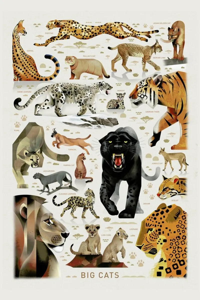 Big Cats hahnemühle by Dieter Braun