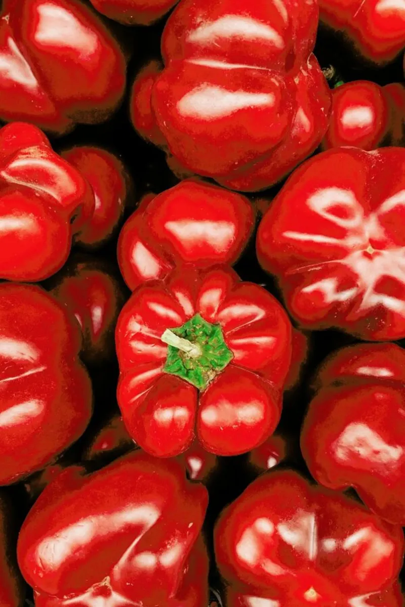 Red Paprikas poster da Sebastian Hilgetag