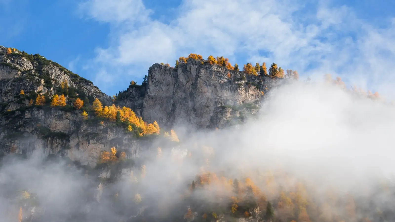 Sussurri di sentieri d'autunno carta hahnemühle da PhotoVibe Decor