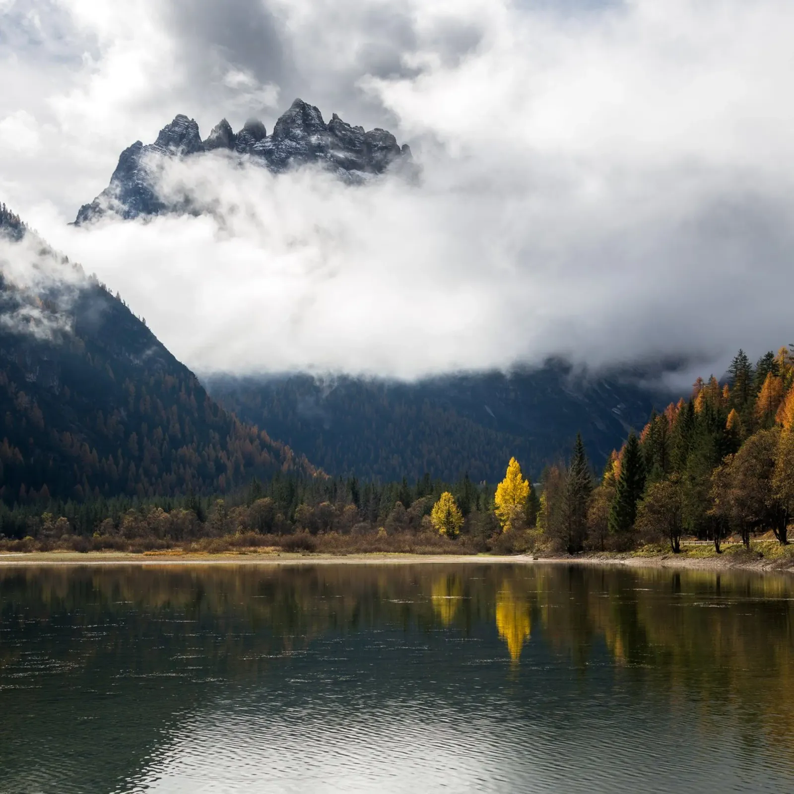 Sussurri di sentieri d'autunno poster con telaio in legno da PhotoVibe Decor