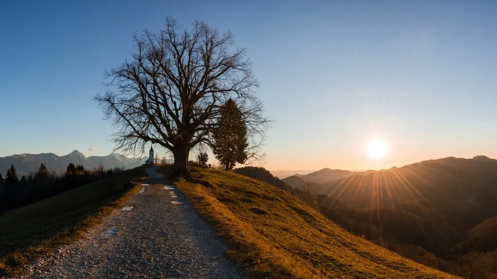 Sussurri di sentieri d'autunno alluminio dibond da PhotoVibe Decor