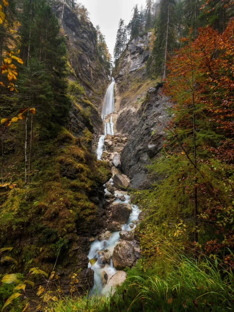 Sussurri di sentieri d'autunno alluminio dibond da PhotoVibe Decor