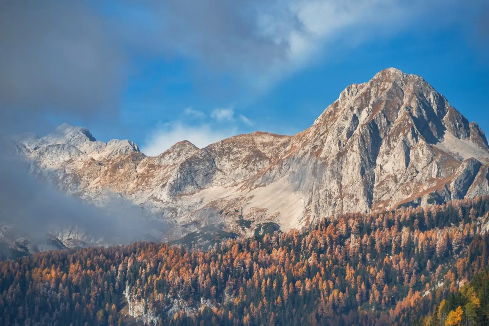 Sussurri di sentieri d'autunno alluminio dibond da PhotoVibe Decor