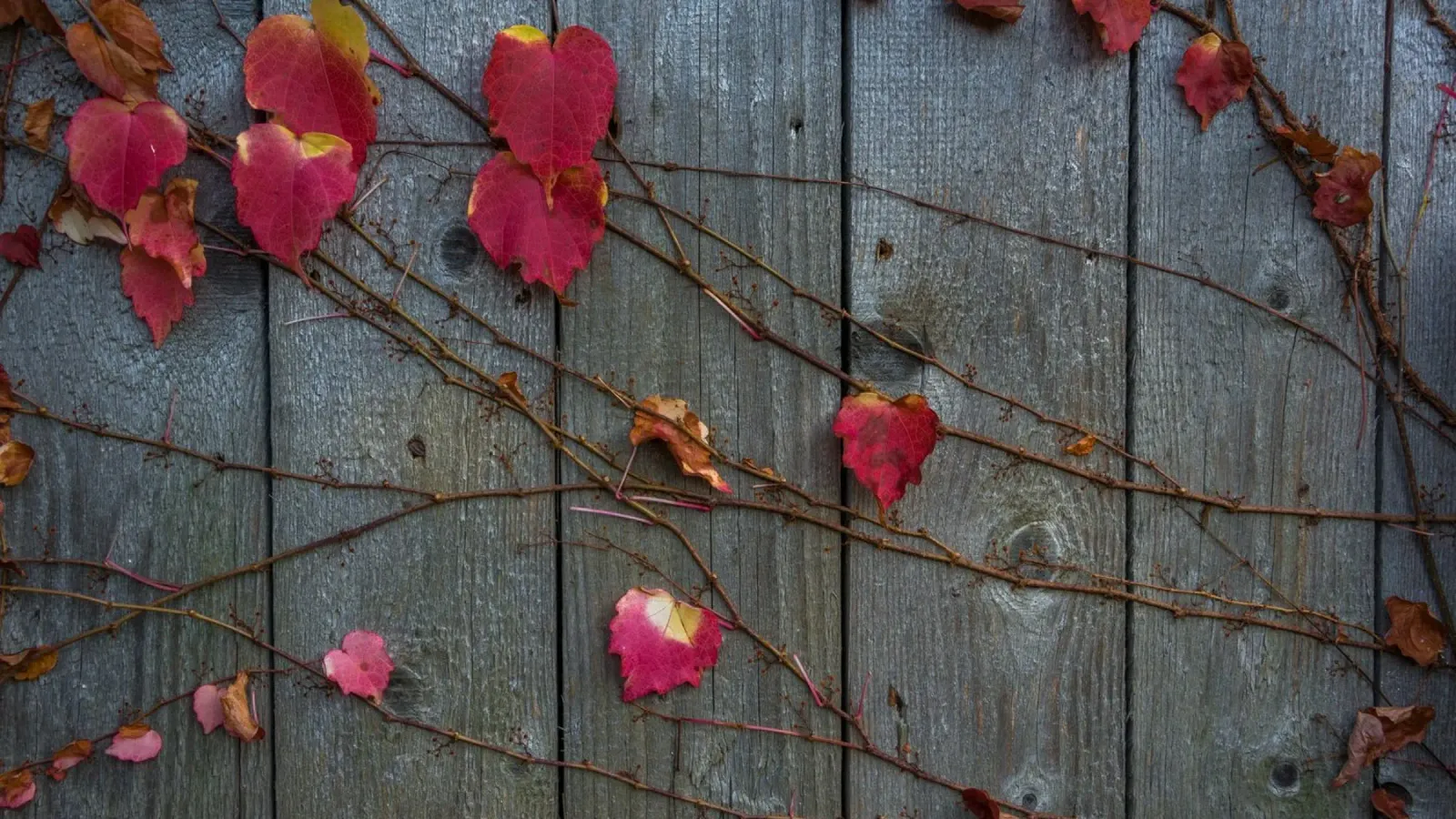 Sussurri di sentieri d'autunno poster da PhotoVibe Decor