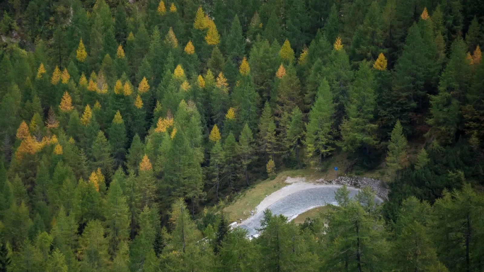 Sussurri di sentieri d'autunno poster da PhotoVibe Decor