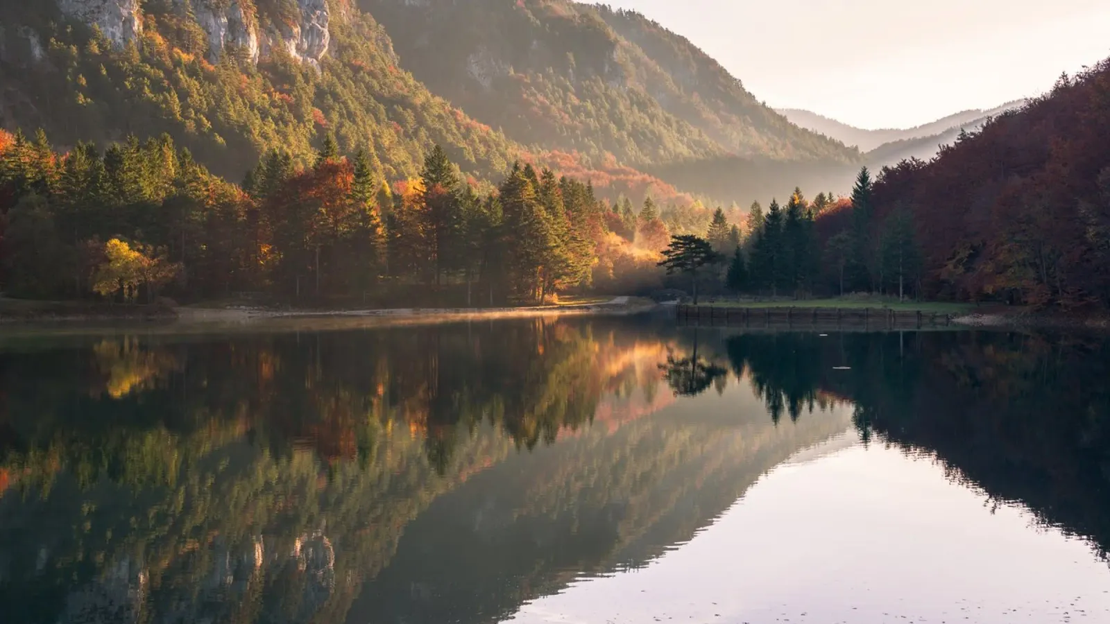 Sussurri di sentieri d'autunno alluminio dibond da PhotoVibe Decor