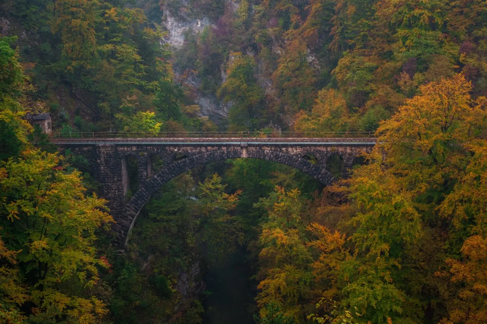 Sussurri di sentieri d'autunno poster da PhotoVibe Decor