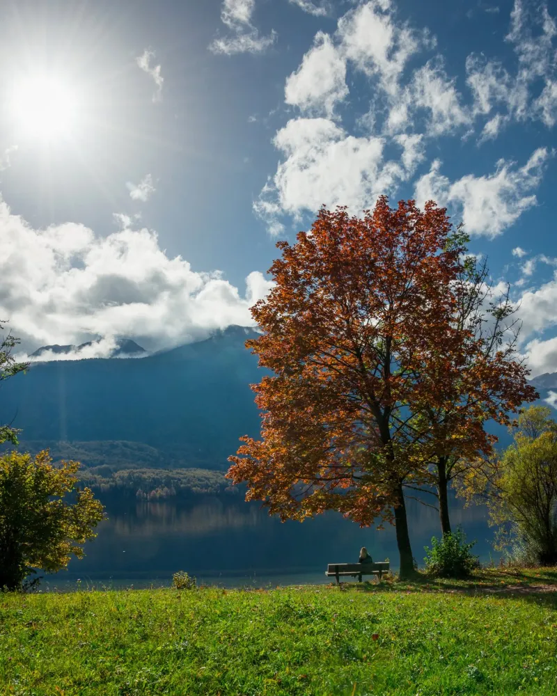 Sussurri di sentieri d'autunno poster con telaio in legno da PhotoVibe Decor