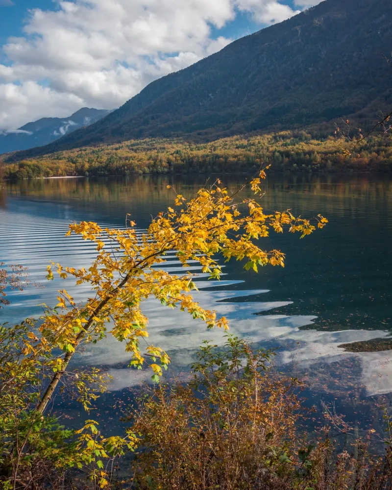 Sussurri di sentieri d'autunno poster da PhotoVibe Decor