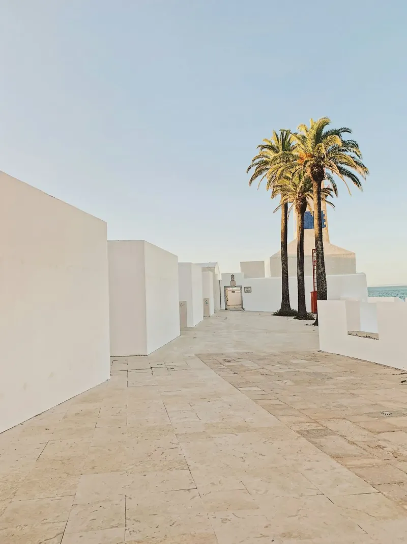 palm trees chill canvas by cofa home