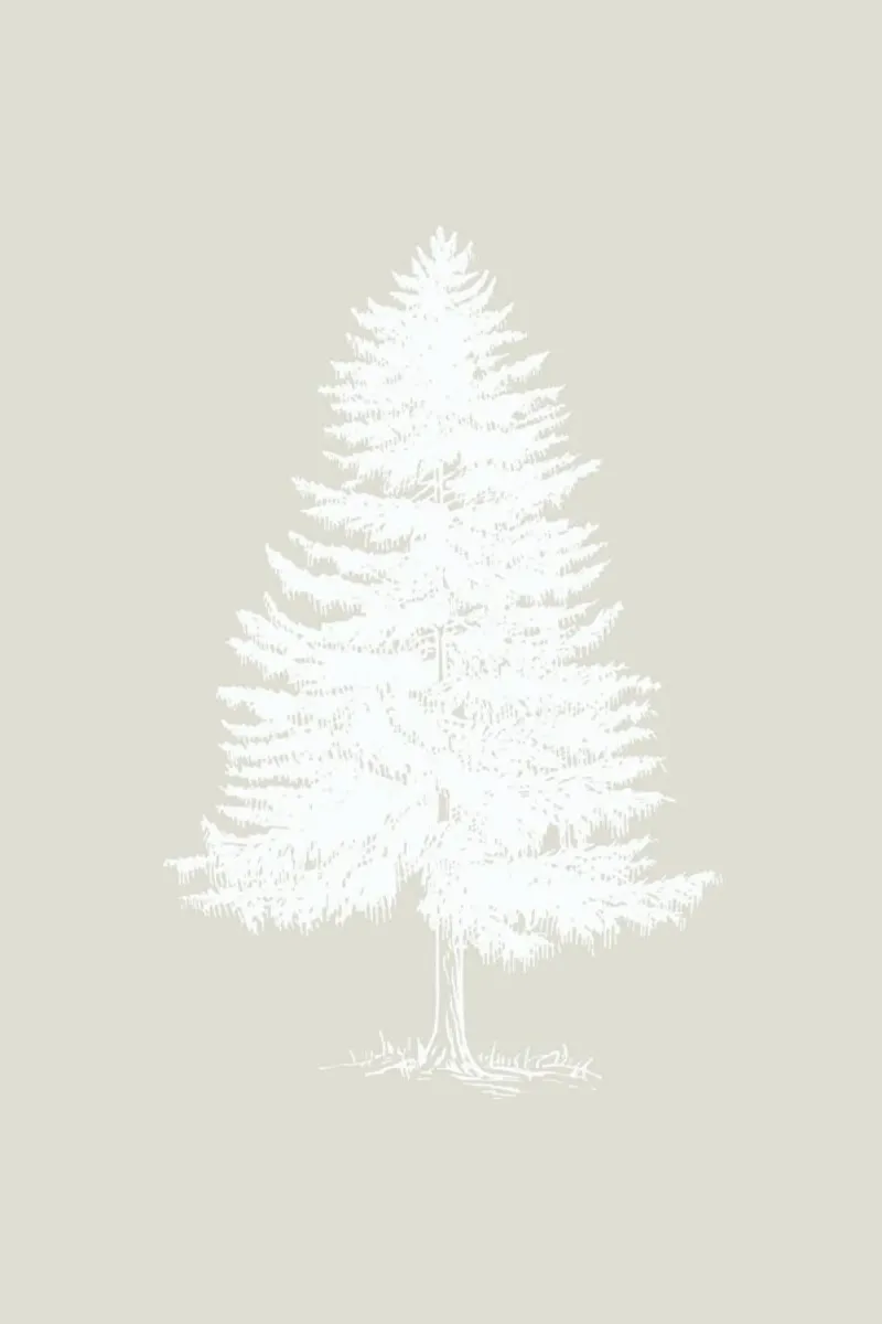 Vintage Holidays Tree White1 poster con telaio in plastica da Monika Strigel