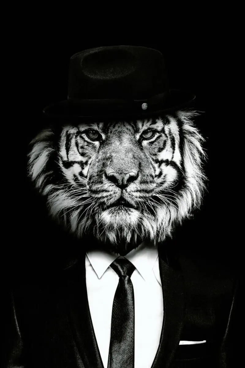 Classy Tiger 3 pellicola backlit da Wouter Rikken