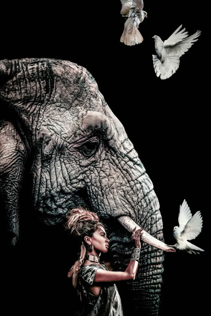 Elephant 4 pellicola backlit da Wouter Rikken