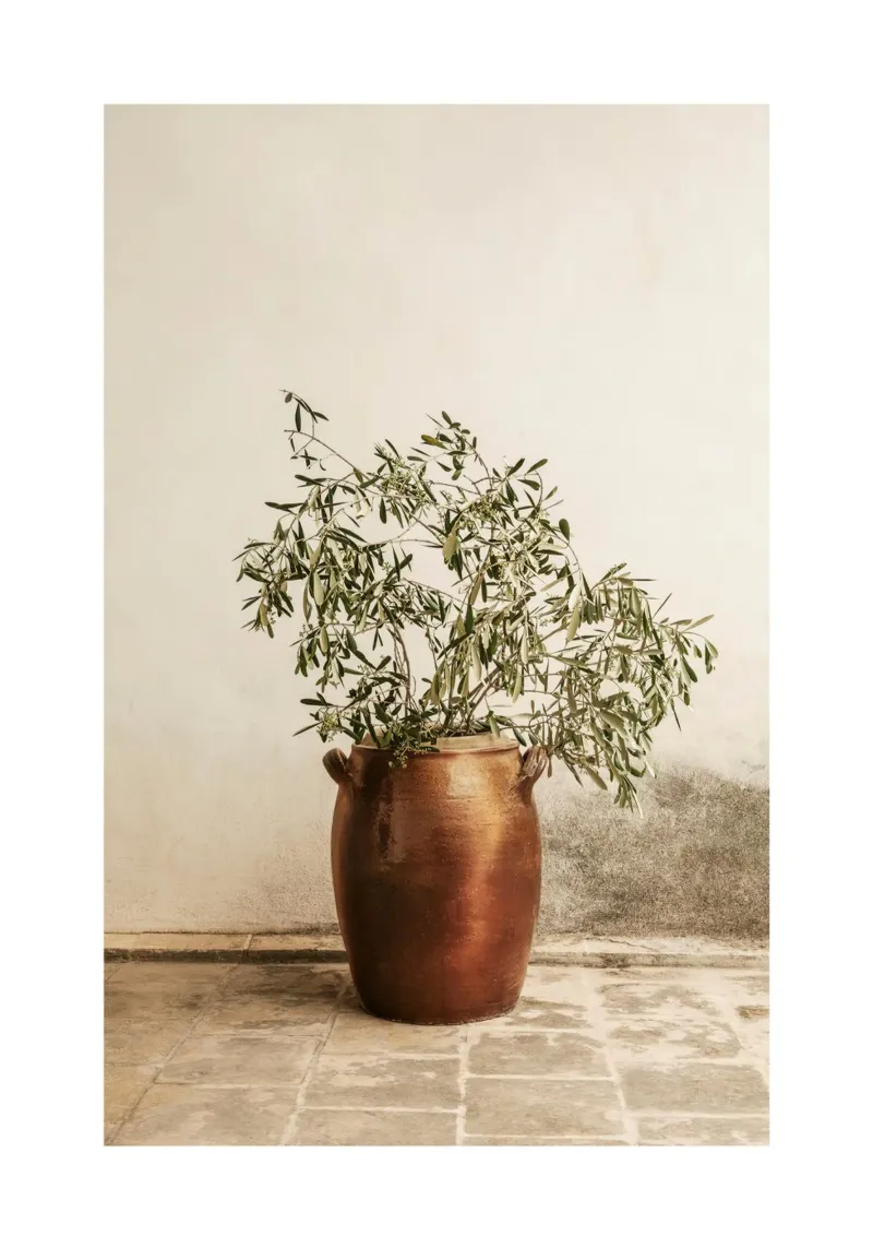 Rustic Olive Branch Print canvas by leslie shop