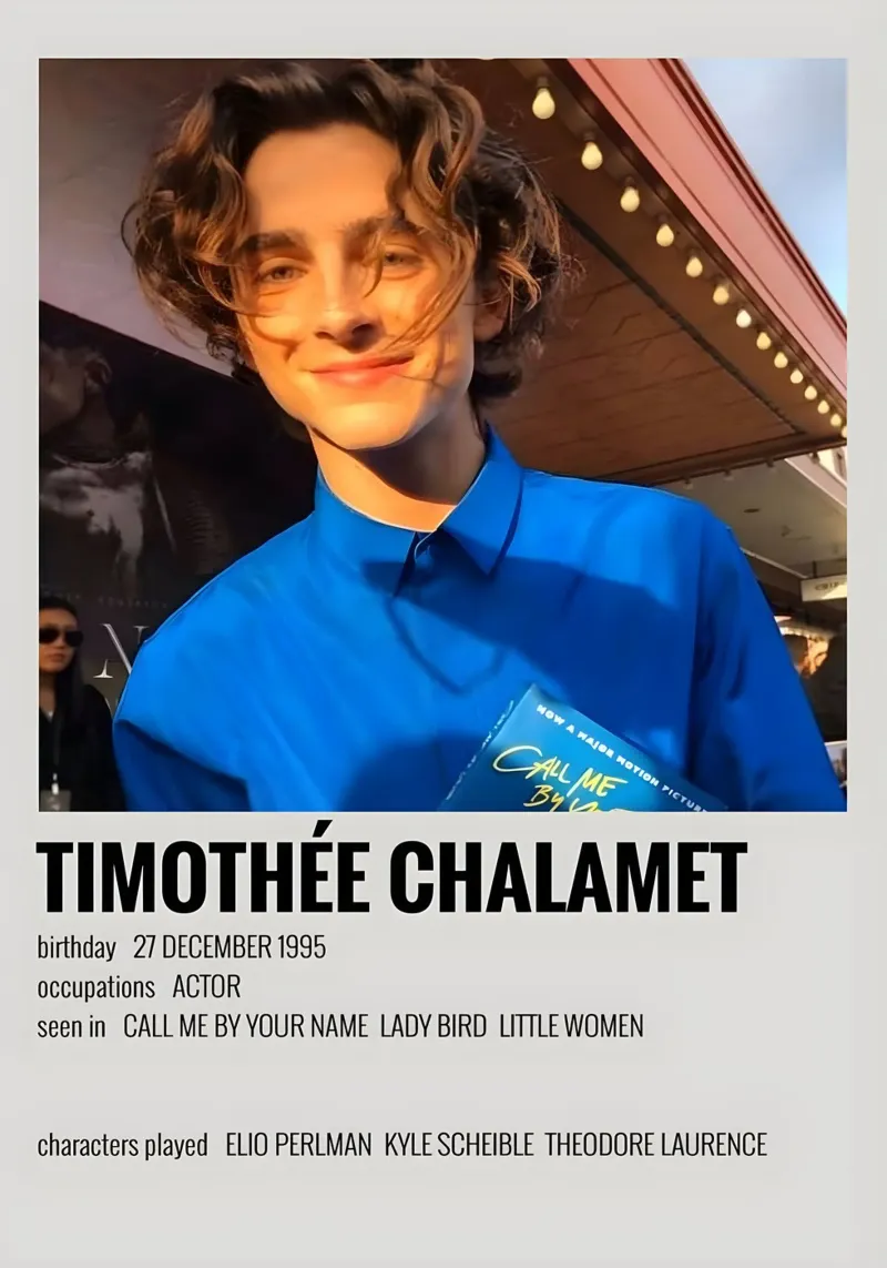 TIMOTHÉE CHALAMET alluminio dibond da MVFminimalist