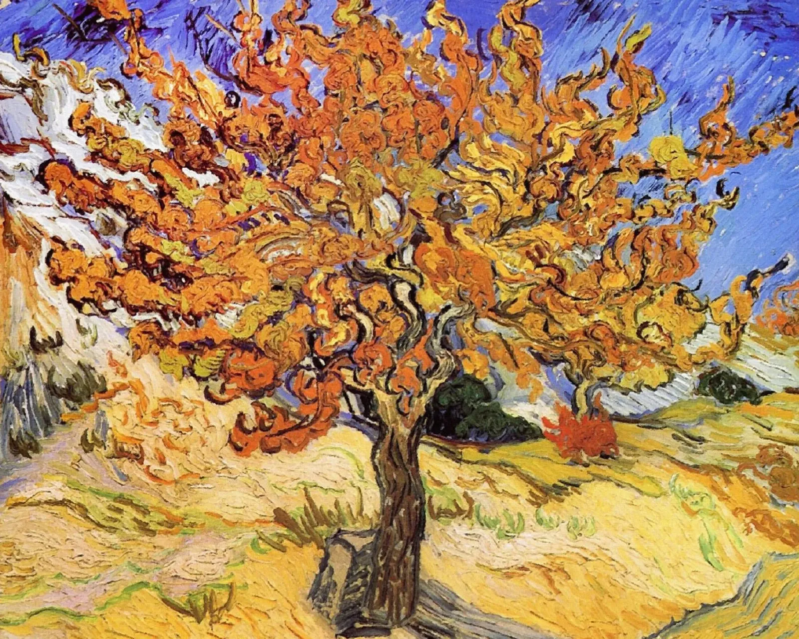 Il gelso - Vincent Van Gogh poster con telaio in plastica da Sylviepaint