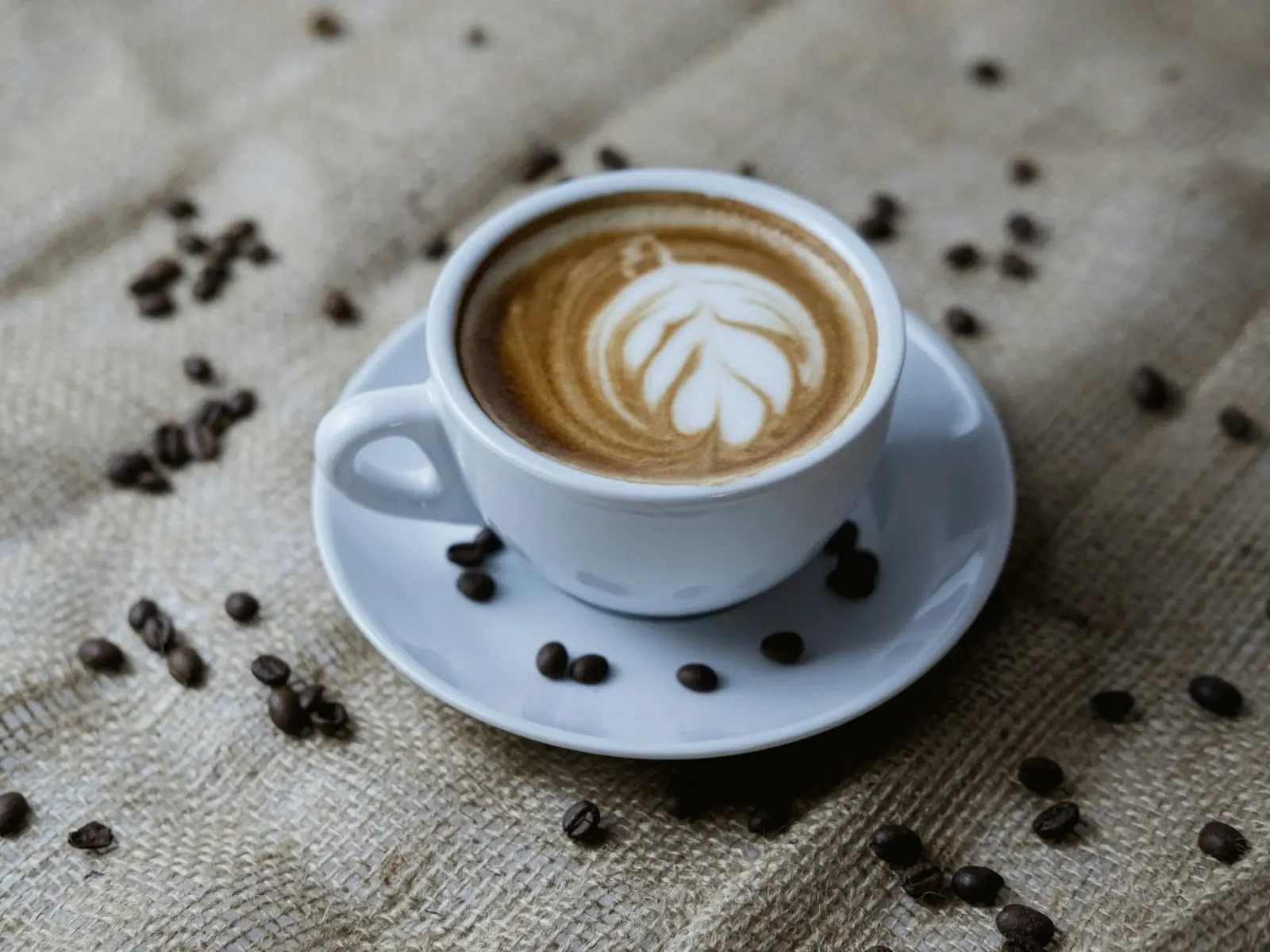 coffee shop foam canvas by cofa home