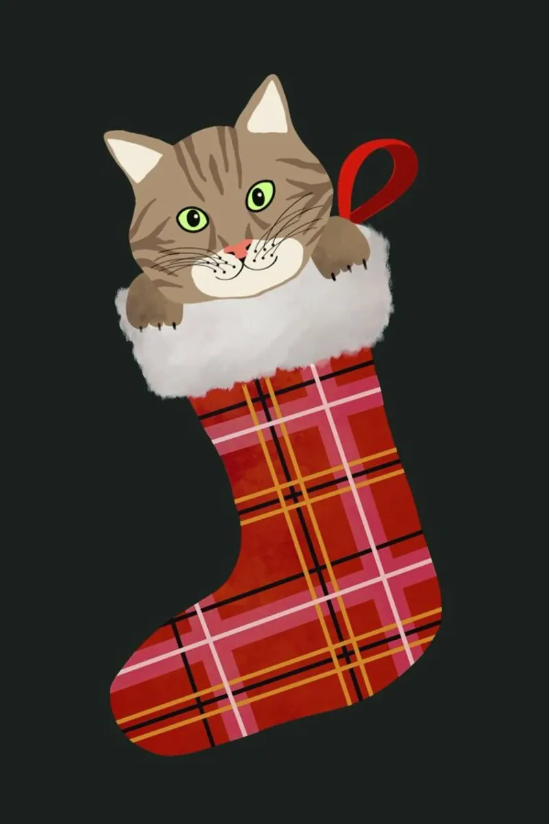 Cat In Christmas Stocking pellicola backlit da cafelab