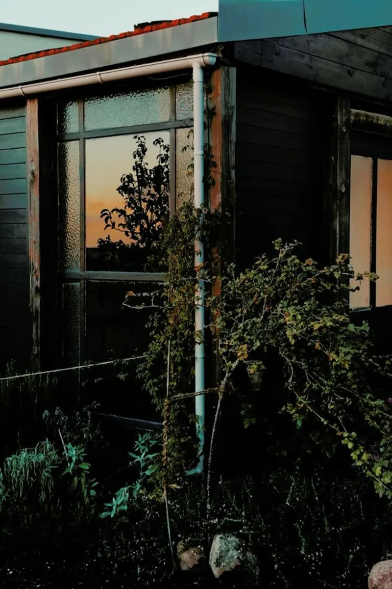 Sundown Secret Garden pellicola backlit da Sebastian Hilgetag