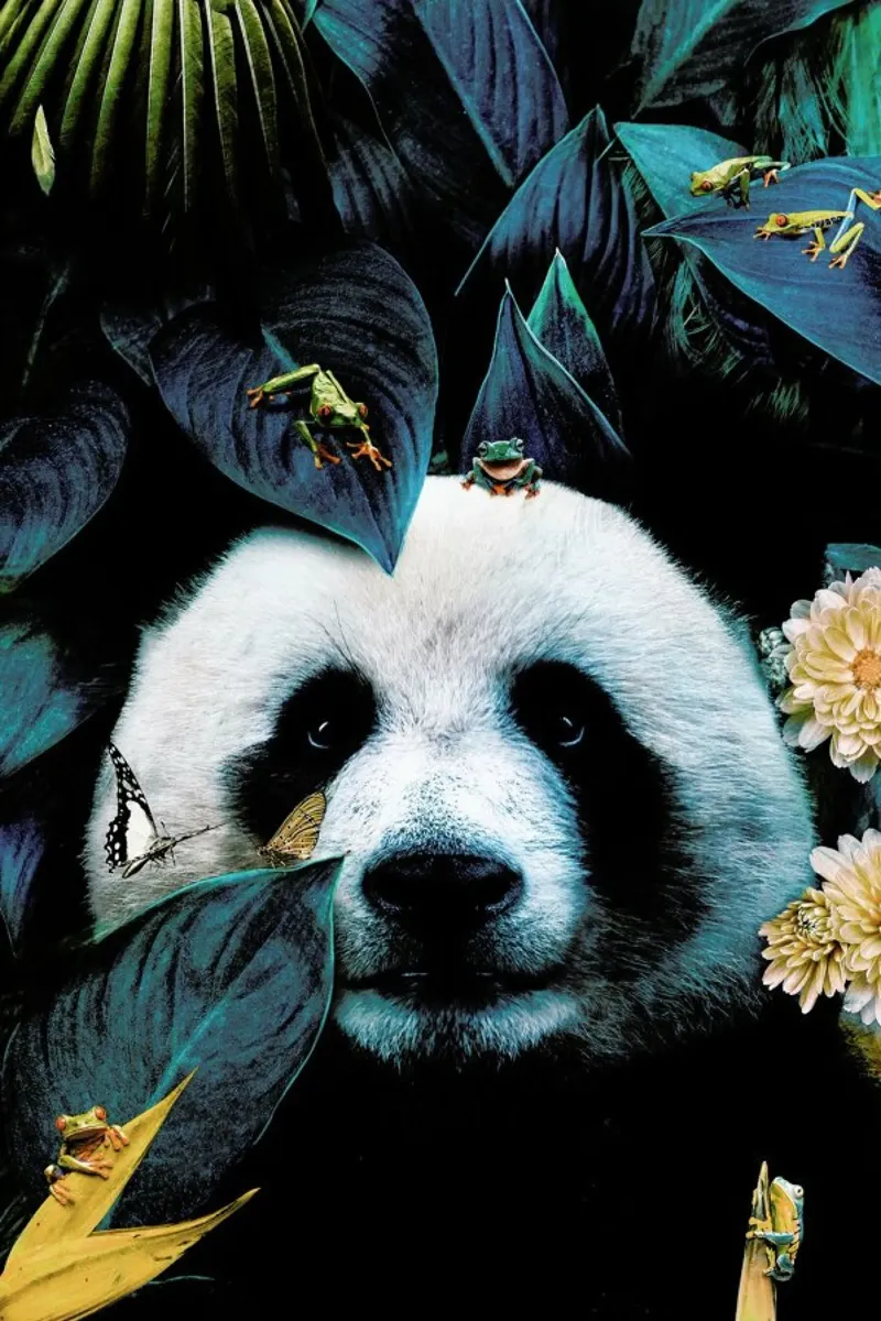 Panda pellicola backlit da Wouter Rikken