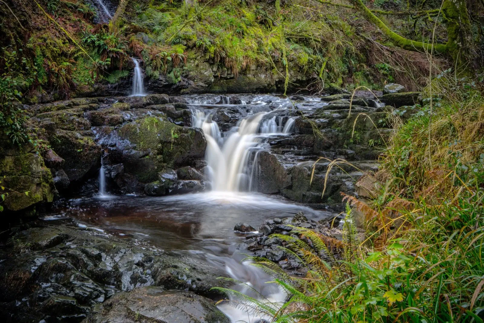 Glenariff Falls 3 pellicola backlit da Dave Hare Photography