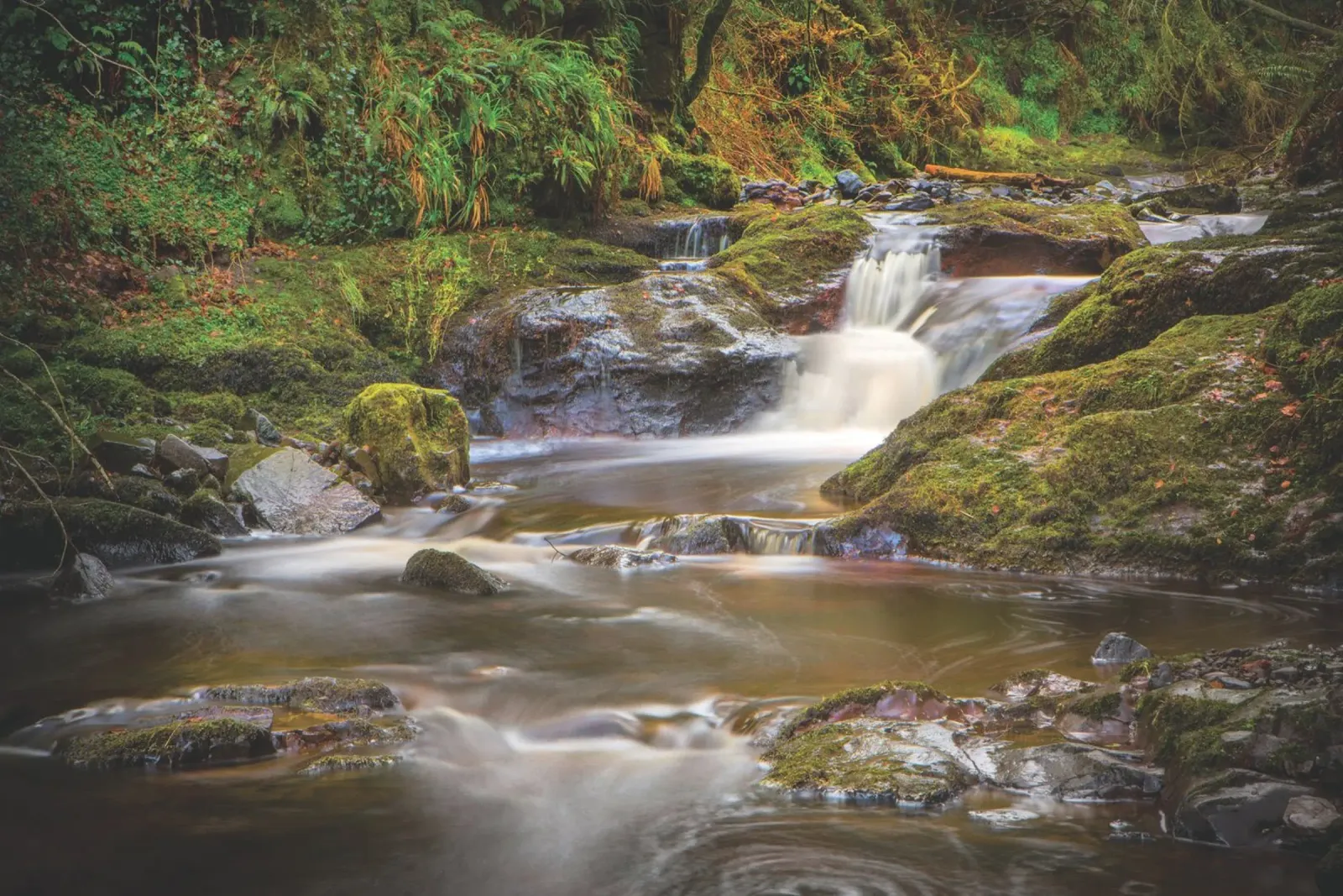 Glenariff Falls pellicola backlit da Dave Hare Photography