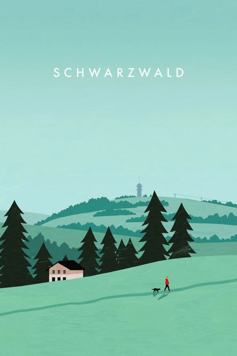 Schwarzwald Leinwand mit Schattenfugenrahmen von Katinka Reinke