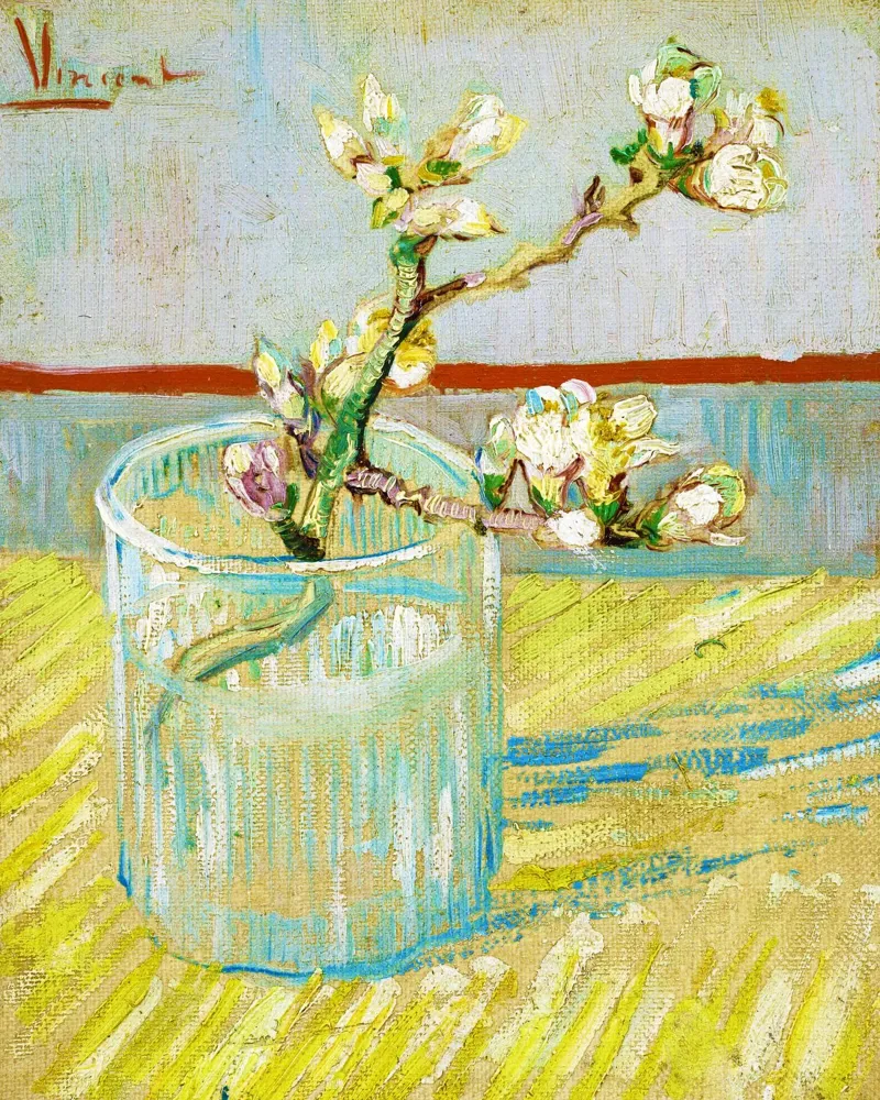 Rametto di mandorlo in fiore in un bicchiere di Van Gogh (1888) pellicola backlit da Venus Art