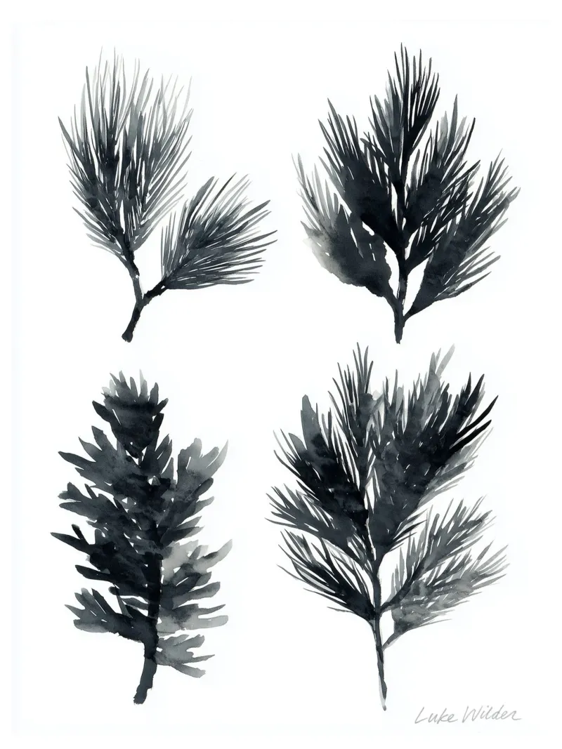 Ink Pine Quartet alluminio dibond da Luke Wilder Studio