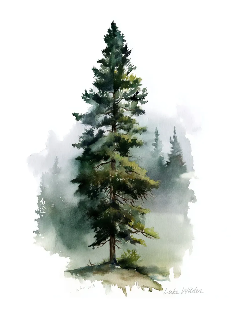 Lone Sentinel carta hahnemühle da Luke Wilder Studio