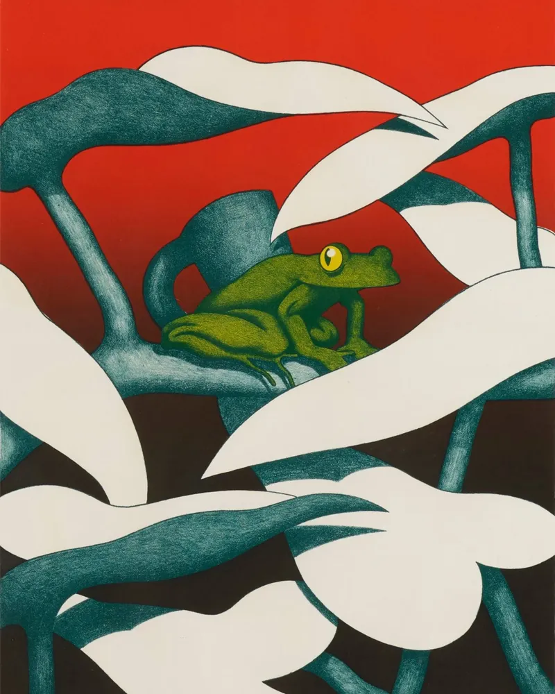 Coppa Ken Price Jivaroland Frog tela con Cornice a cassetta da Marcobarshop