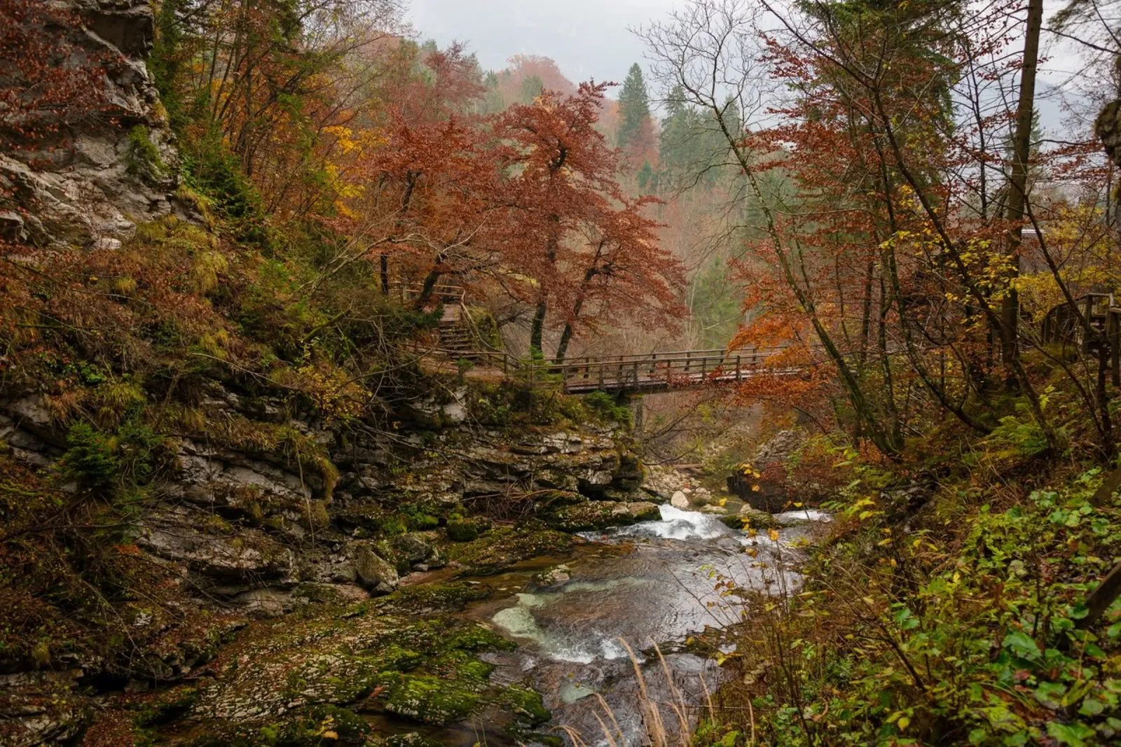 Sussurri di sentieri d'autunno carta hahnemühle da PhotoVibe Decor