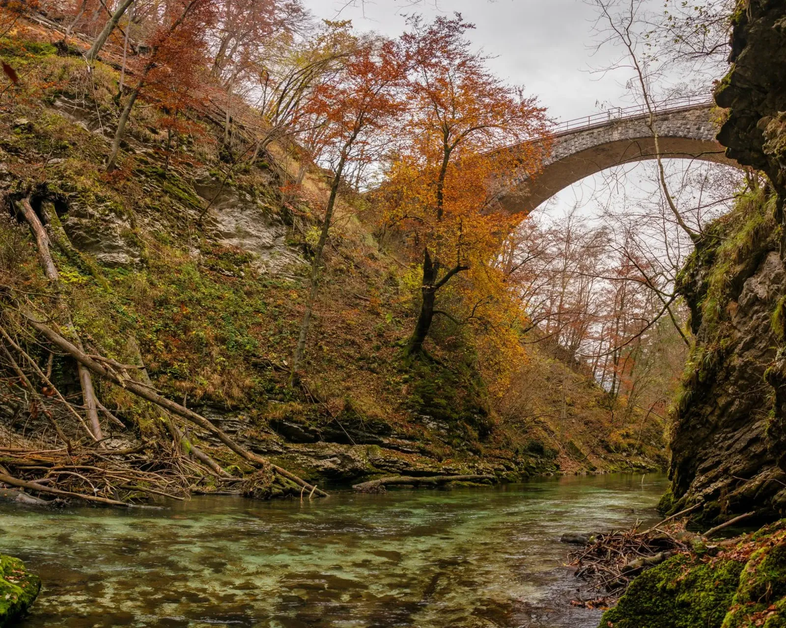 Sussurri di sentieri d'autunno alluminio dibond da PhotoVibe Decor