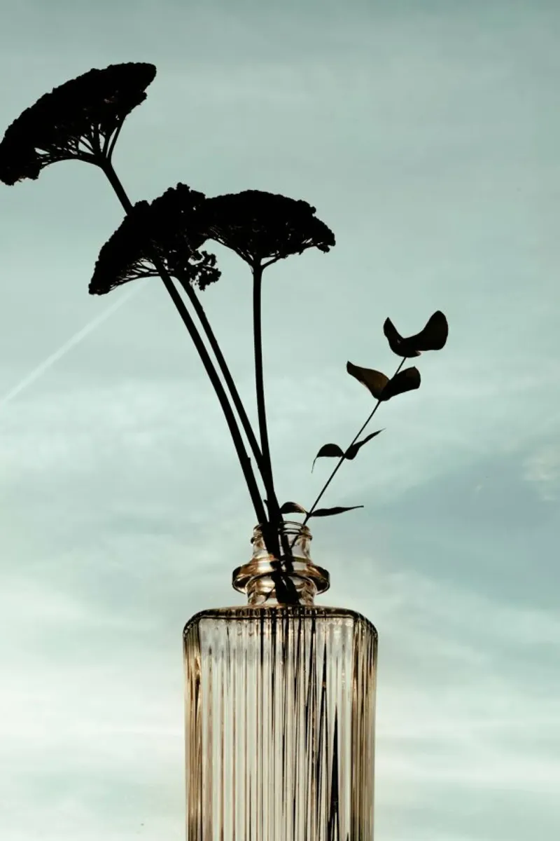 Flowers In The Bottle pellicola backlit da Sebastian Hilgetag